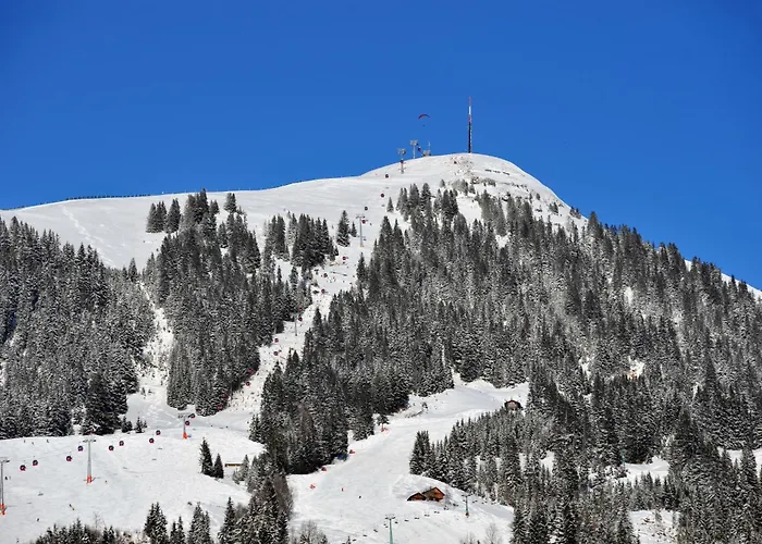 Haus Haggenmueller * 호프가르텐 임 브릭젠탈